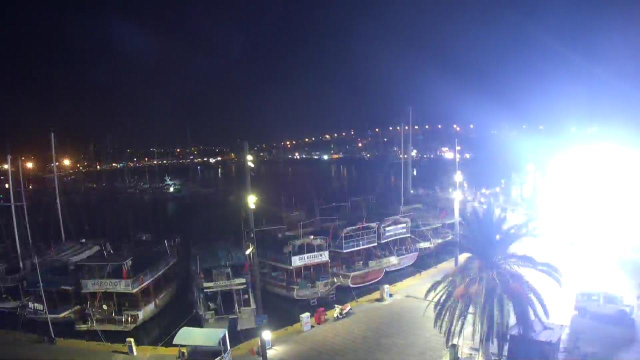 bodrum live